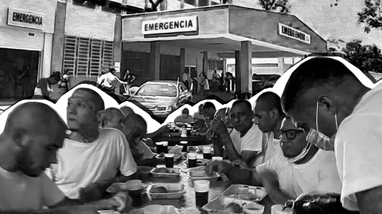 Texto alternativo